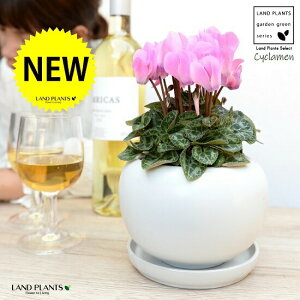 K[fVNisNj F ی^ 픫 yVRӐ΁EMz VN tC ~bNX JKroii⾉Ήԁj u^m}WEi؂\j c c ԕc  A A 