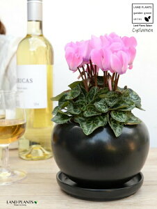 K[fVNisNj F  픫 yVRӐ΁EMz VN tC ~bNX JKroii⾉Ήԁj u^m}WEi؂\j c c ԕc  A A 