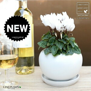 K[fVNiԁj F ی^ 픫 yVRӐ΁EMz VN tC ~bNX JKroii⾉Ήԁj u^m}WEi؂\j c c ԕc  A A  