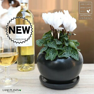 K[fVNiԁj F  픫 yVRӐ΁EMz VN tC ~bNX JKroii⾉Ήԁj u^m}WEi؂\j c c ԕc  A A  