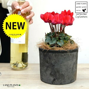 K[fVNiԉԁj F X|bg V_[^ 픫 yRRt@Co[z VN tC ~bNX JKroii⾉Ήԁj u^m}WEi؂\j c c ԕc 