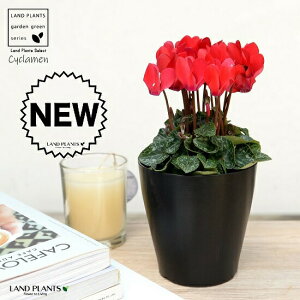 K[fVNiԉԁj 4 F vX`bN VN tC ~bNX JKroii⾉Ήԁj u^m}WEi؂\j c c ԕc  A A  bh  z