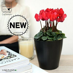 K[fVNiԉԁj 4 F vX`bN VN tC ~bNX JKroii⾉Ήԁj u^m}WEi؂\j c c ԕc  A A  bh  z