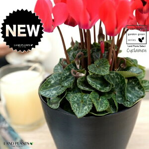 K[fVNiԉԁj 4 F vX`bN VN tC ~bNX JKroii⾉Ήԁj u^m}WEi؂\j c c ԕc  A A  bh  z