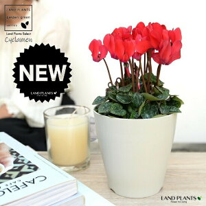 K[fVNiԉԁj 4 F vX`bN yRRt@Co[z VN tC ~bNX JKroii⾉Ήԁj u^m}WEi؂\j c c ԕc  A A