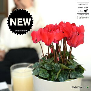 K[fVNiԉԁj 4 F vX`bN yRRt@Co[z VN tC ~bNX JKroii⾉Ήԁj u^m}WEi؂\j c c ԕc  A A