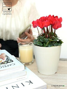 K[fVNiԉԁj 4 F vX`bN yRRt@Co[z VN tC ~bNX JKroii⾉Ήԁj u^m}WEi؂\j c c ԕc  A A