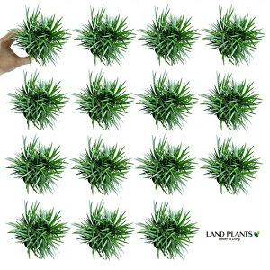 NEW!!@^}Eiʗj@15Zbg@2.5TCY@7.5cm|bgEMNEE̕EEEmqQÊЂ @OhJo[EoRjXgEWmqQ@|CgEA@c