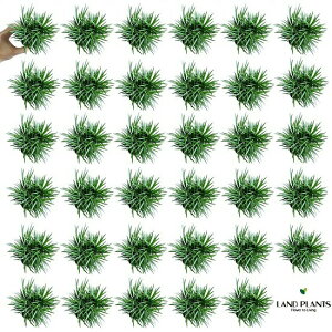 NEW!!@^}Eiʗj@35Zbg@2.5TCY@7.5cm|bgEMNEE̕EEEmqQÊЂ @OhJo[EoRjXgEWmqQ@|CgEA@c