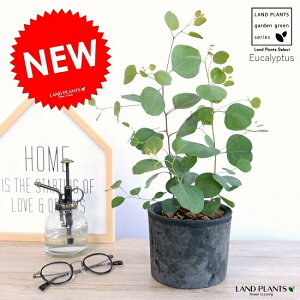 [J i||Xj X|bg V_[ F 픫 |AZX ۗt n[g̗t ۔ A  eRb^ ubN  D DF@O[ [J̖ [Jv^X tg