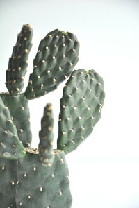 T{einGXqFX~G{Vj 2F } F ی^ 픫 yF΁EMEĕz E`T{e cT{e oUCT{e A JN^X  A  ֖ c c