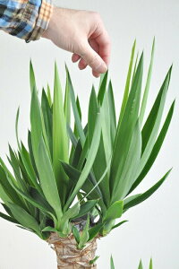 hZiibJEGt@eByX j F ZA[g 8 y΁EMEĕz ^ ϗt ϗtA hZibJ bJGt@eByX  A v vX`bN 