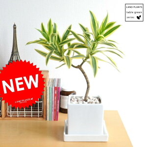 hZii\OIuCfBAj F L[u^ 픫 1 y؃uEMz \O ϗtA 