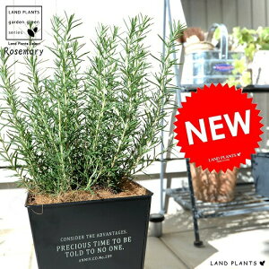 [Y}[ zCgS F XNGA^ uL|bg  D  ubN lp XNGA c c  ϗtA  A c c [Y} n[u n[ 