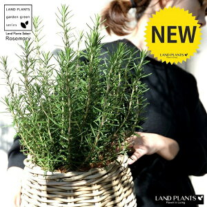 [Y}[ ۂĂiDoXPbgj o[^ Jo[  A c c [Y} n[u n[ JS  oXPbg ^  U  uE x[W RRV