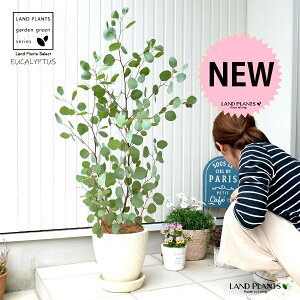 [Ji||Xj N[F GbO^ Eh eRb^ yMERRt@Co[z