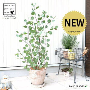 [Ji||Xj F GbO^ Eh eRb^ yMERRt@Co[z