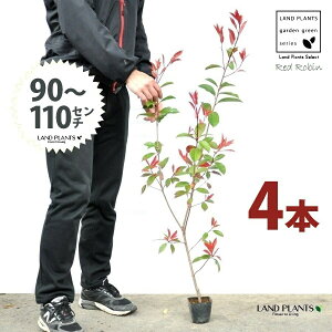 yz bhr 3.5 c i4{j i90?110cmjc c c|bg ZCEJi Ji` _ _ ډB ǖʗΉ O[EH[ O[J[e A A  eco