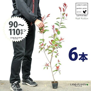 yz bhr 3.5 c i6{j i90?110cmjc c c|bg ZCEJi Ji` _ _ ډB ǖʗΉ O[EH[ O[J[e A A  eco
