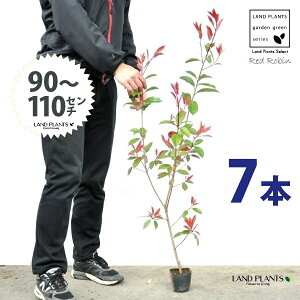 yz bhr 3.5 c i7{j i90?110cmjc c c|bg ZCEJi Ji` _ _ ډB ǖʗΉ O[EH[ O[J[e A A  eco