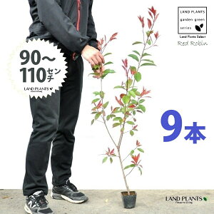 yz bhr 3.5 c i9{j i90?110cmjc c c|bg ZCEJi Ji` _ _ ډB ǖʗΉ O[EH[ O[J[e A A  eco