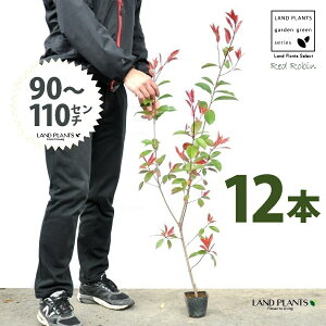 yz bhr 3.5 c i12{j i90?110cmjc c c|bg ZCEJi Ji` _ _ ډB ǖʗΉ O[EH[ O[J[e A A  ec