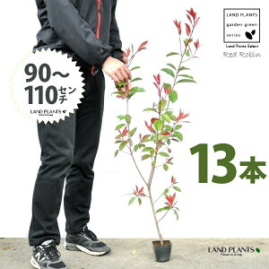 yz bhr 3.5 c i13{j i90?110cmjc c c|bg ZCEJi Ji` _ _ ډB ǖʗΉ O[EH[ O[J[e A A  ec