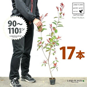 yz bhr 3.5 c i17{j i90?110cmjc c c|bg ZCEJi Ji` _ _ ډB ǖʗΉ O[EH[ O[J[e A A  ec
