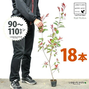 yz bhr 3.5 c i18{j i90?110cmjc c c|bg ZCEJi Ji` _ _ ډB ǖʗΉ O[EH[ O[J[e A A  ec