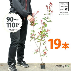yz bhr 3.5 c i19{j i90?110cmjc c c|bg ZCEJi Ji` _ _ ډB ǖʗΉ O[EH[ O[J[e A A  ec