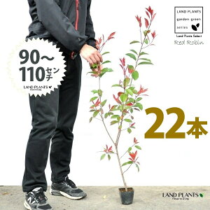 yz bhr 3.5 c i22{j i90?110cmjc c c|bg ZCEJi Ji` _ _ ډB ǖʗΉ O[EH[ O[J[e A A  ec