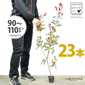 yz bhr 3.5 c i23{j i90?110cmjc c c|bg ZCEJi Ji` _ _ ډB ǖʗΉ O[EH[ O[J[e A A  ec