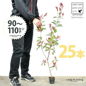 yz bhr 3.5 c i25{j i90?110cmjc c c|bg ZCEJi Ji` _ _ ډB ǖʗΉ O[EH[ O[J[e A A  ec