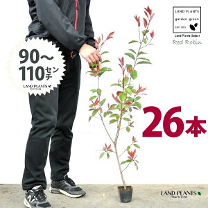 yz bhr 3.5 c i26{j i90?110cmjc c c|bg ZCEJi Ji` _ _ ډB ǖʗΉ O[EH[ O[J[e A A  ec