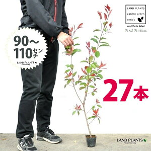yz bhr 3.5 c i27{j i90?110cmjc c c|bg ZCEJi Ji` _ _ ډB ǖʗΉ O[EH[ O[J[e A A  ec