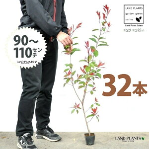 yz bhr 3.5 c i32{j i90?110cmjc c c|bg ZCEJi Ji` _ _ ډB ǖʗΉ O[EH[ O[J[e A A  ec