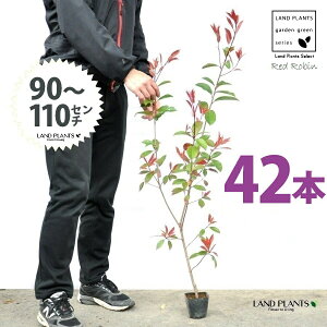 yz bhr 3.5 c i42{j i90?110cmjc c c|bg ZCEJi Ji` _ _ ډB ǖʗΉ O[EH[ O[J[e A A  ec