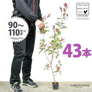 yz bhr 3.5 c i43{j i90?110cmjc c c|bg ZCEJi Ji` _ _ ډB ǖʗΉ O[EH[ O[J[e A A  ec