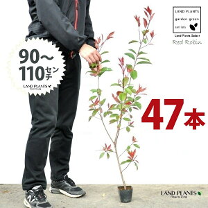 yz bhr 3.5 c i47{j i90?110cmjc c c|bg ZCEJi Ji` _ _ ډB ǖʗΉ O[EH[ O[J[e A A  ec
