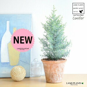 y󏭁z Rjt@[iTtAj F X|bg g[ 픫 yo[N`bvz uE GEbYGpC[ qmL NX}Xc[ V{c[ jt A  f 