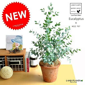 [JiOj[j F X|bg g[ Eh^ [Jv^X RA Oj[[J eRb^ f  uE IW  ϗtA ϗt  A 