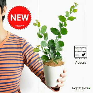 y󏭁zAJVAi|_[tHAj 4 vX`bN NC[YhVo[g c c A @F̉ niAJVA e[u~U I[XgAvcAJVA