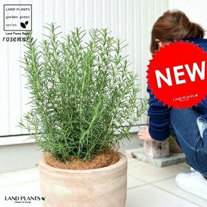 [Y}[A fUC̗ǂ eRb^  c c [Y} f  uE  F x[W F