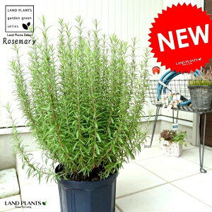 y^z [Y}[ A 8 c|bg n[u  c c [Y}  ubN