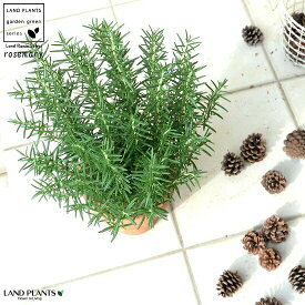楽天市場 虫除け 植物 ハーブ スプレー ガーデニング 農業 花 ガーデン Diy の通販