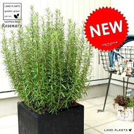 楽天市場 虫除け 植物 ハーブ スプレー ガーデニング 農業 花 ガーデン Diy の通販