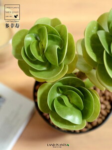 yz A LlVXiKj 4 F vX`bN ynChznCYA A   K RGVX LjGVX Aؔ  c c  