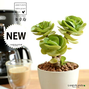 yz A LlVXiKj 4 F vX`bN ynChznCYA A   K RGVX LjGVX Aؔ  c c  