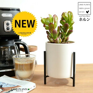 JlmiLizj F ACAX^ht 픫 STCY ynChEACAX^hz A   F̎ NbX xPC\E NbX xPC\E A