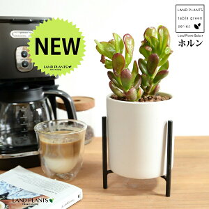 JlmiLizj F ACAX^ht 픫 STCY ynChEACAX^hz A   F̎ NbX xPC\E NbX xPC\E A